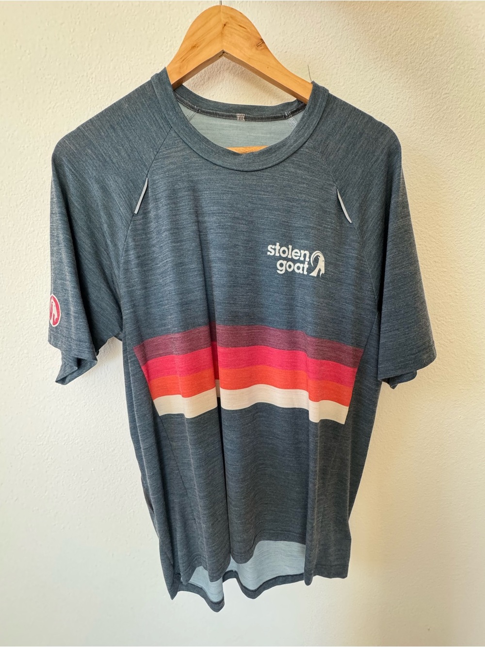 Stolen Goat Men’s Heather Slate Short Sleeve Performance Tee - Multi Stripe